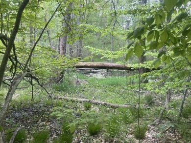 Beach Acreage Active Under Contract in South Haven, Michigan