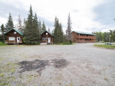 Beach Home For Sale in Kenai, Alaska