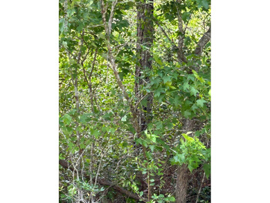 Beach Lot For Sale in Southport, North Carolina