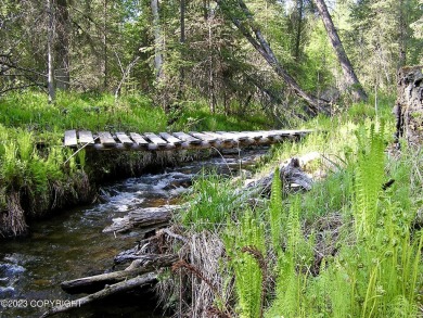 Beach Acreage Off Market in Wasilla, Alaska