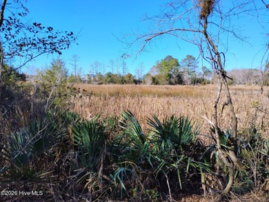 Beach Acreage For Sale in Merritt, North Carolina