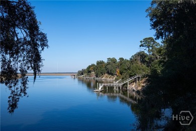 Beach Acreage For Sale in Townsend, Georgia