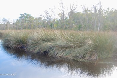 Beach Acreage Off Market in Havelock, North Carolina