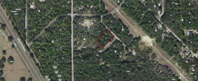 Beach Lot Sale Pending in Crystal River, Florida