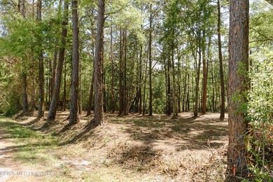 Beach Lot For Sale in Gautier, Mississippi