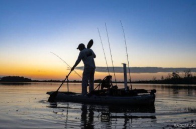 Beach Lot For Sale in Crystal River, Florida