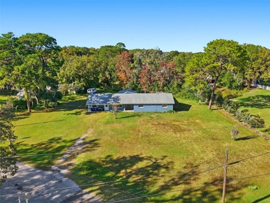 Beach Home For Sale in Land O Lakes, Florida