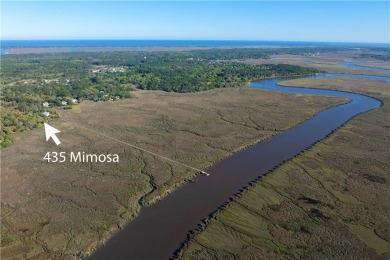 Beach Home For Sale in Saint Simons, Georgia