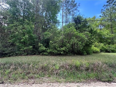 Beach Lot For Sale in Theodore, Alabama