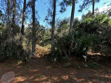 Beach Lot For Sale in North Port, Florida