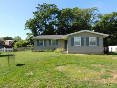 Beach Home For Sale in Ashtabula, Ohio