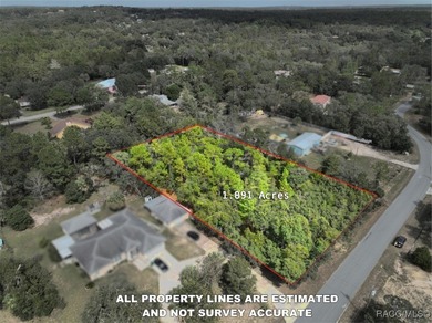 Beach Lot Sale Pending in Homosassa, Florida