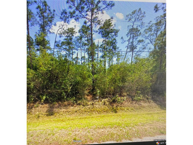 Beach Lot For Sale in Port Charlotte, Florida