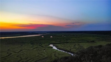 Beach Lot For Sale in Townsend, Georgia