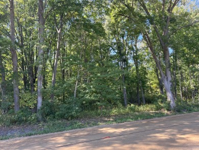 Beach Acreage For Sale in New Buffalo, Michigan