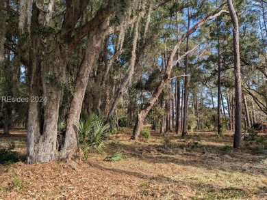 Beach Lot For Sale in Daufuskie Island, South Carolina