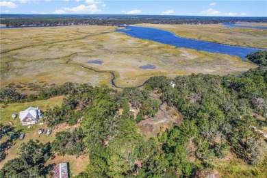 Beach Acreage For Sale in Townsend, Georgia