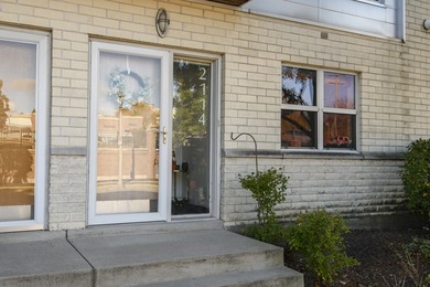 Beach Condo For Sale in Milwaukee, Wisconsin