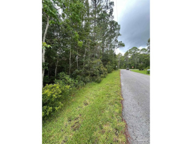 Beach Lot For Sale in Milton, Florida