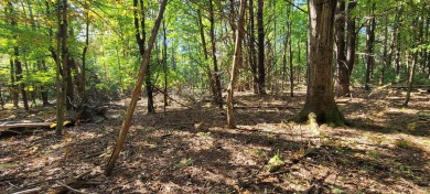 Beach Lot For Sale in Pentwater, Michigan