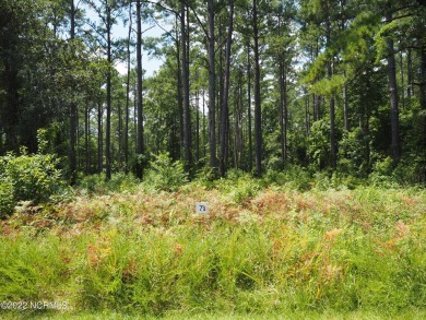 Beach Lot For Sale in Havelock, North Carolina