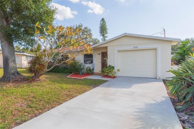 Beach Home Sale Pending in St. Petersburg, Florida