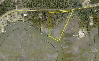 Beach Acreage For Sale in Woodbine, Georgia