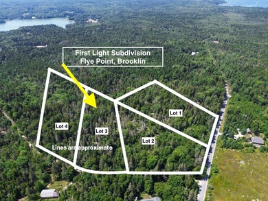Beach Acreage For Sale in Brooklin, Maine