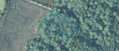 Beach Acreage For Sale in Darien, Georgia