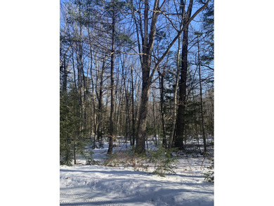 Beach Lot For Sale in Lincolnville, Maine