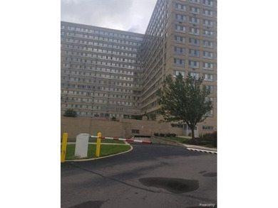 Beach Condo For Sale in Detroit, Michigan