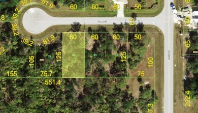 Beach Lot For Sale in Rotonda West, Florida