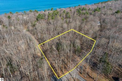Beach Lot For Sale in Kewadin, Michigan