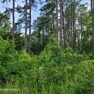 Beach Lot For Sale in Havelock, North Carolina