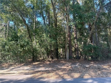 Beach Lot For Sale in Saint Simons, Georgia