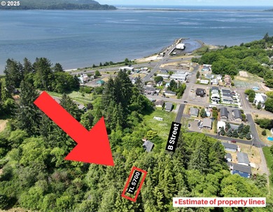 Beach Lot For Sale in Baycity, Oregon
