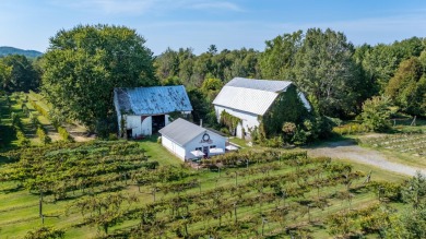 Beach Commercial For Sale in Pentwater, Michigan