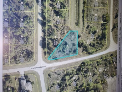 Beach Lot For Sale in Lehigh Acres, Florida