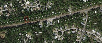 Beach Lot For Sale in Homosassa, Florida
