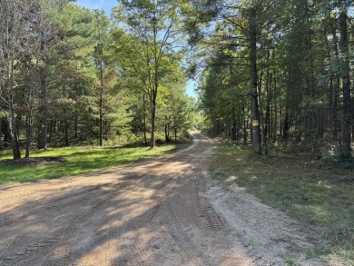 Beach Acreage For Sale in Free Soil, Michigan