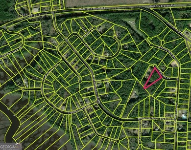 Beach Acreage For Sale in Woodbine, Georgia