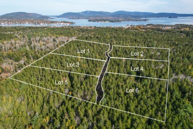 Beach Lot For Sale in Southwest Harbor, Maine