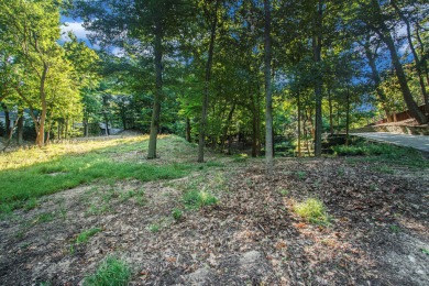 Beach Lot For Sale in Saugatuck, Michigan