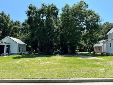 Beach Lot For Sale in Midway, Georgia