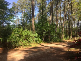 Beach Lot For Sale in Accomac, Virginia