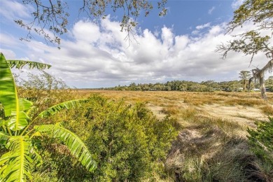 Beach Condo For Sale in Saint Simons, Georgia