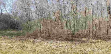 Beach Lot For Sale in Ontonagon, Michigan