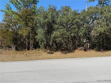 Beach Lot For Sale in Homosassa, Florida