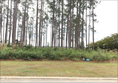 Beach Lot For Sale in Saint Marys, Georgia