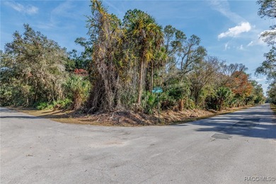 Beach Acreage For Sale in Crystal River, Florida